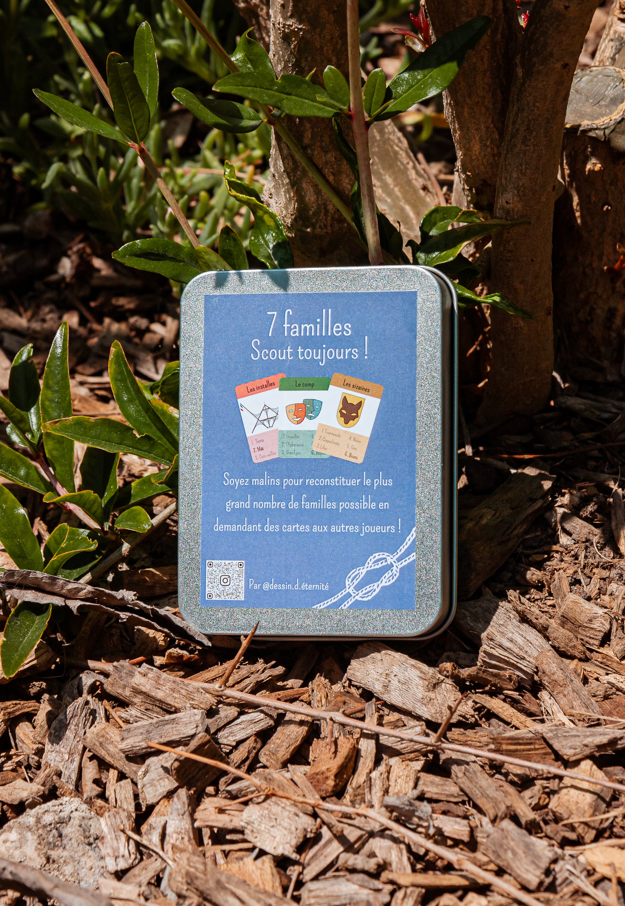Jeu de 7 familles - Scout Toujours